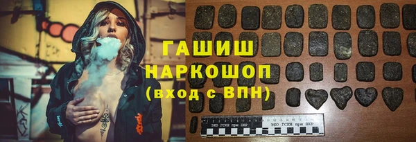 хмурый Алексин