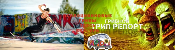 твердый Алзамай