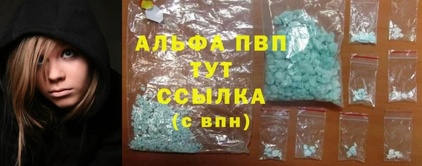 шишки Заволжск