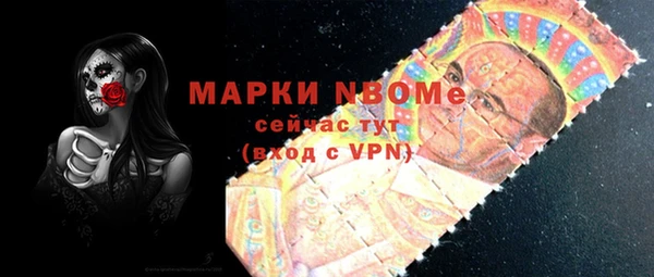 хмурый Алексин